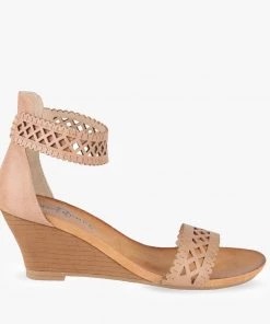 London Rebel Begonia