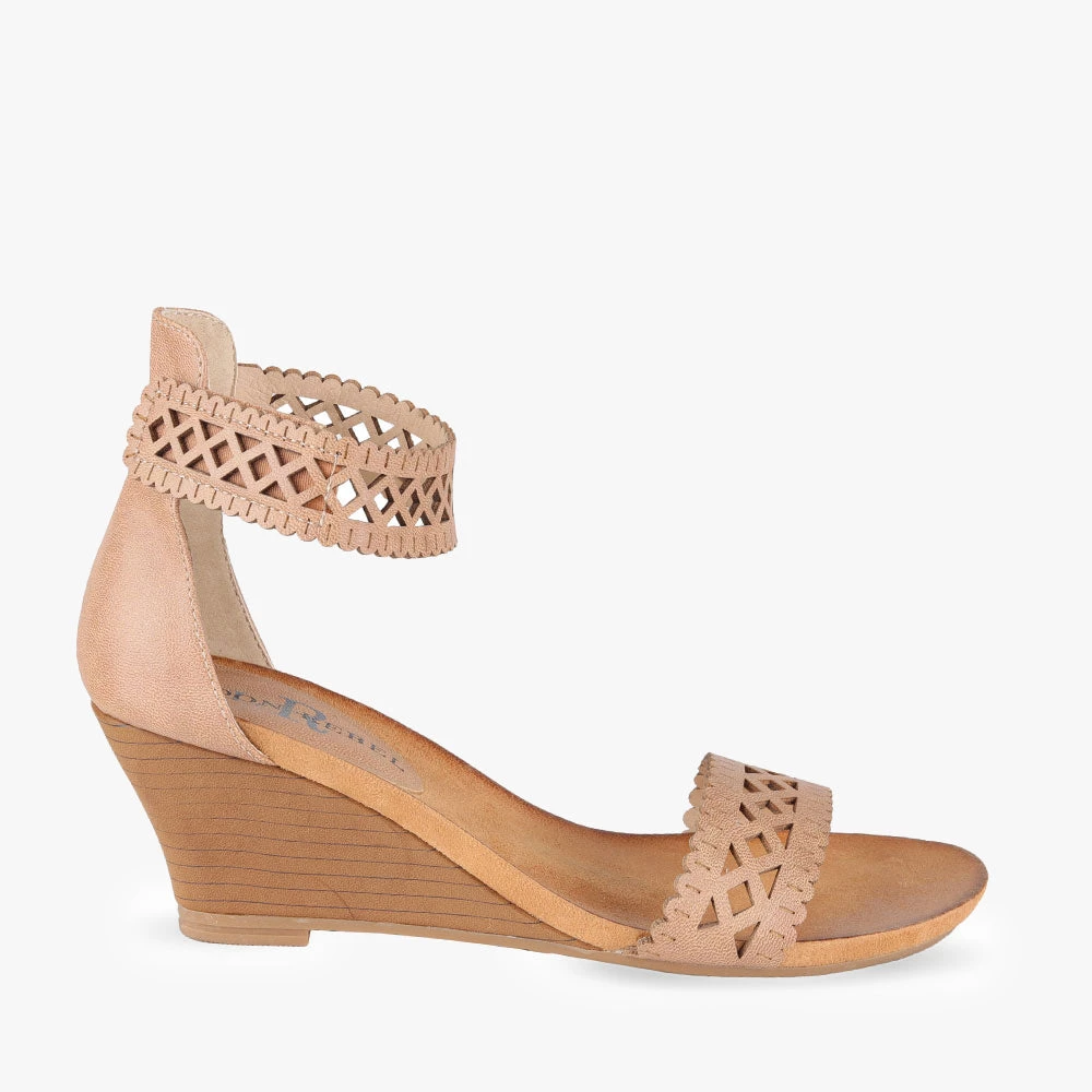 London Rebel Begonia 4 London Rebel Begonia