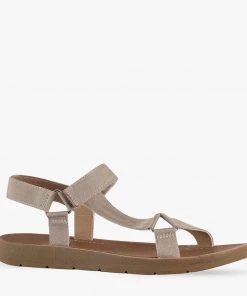 Naughty Monkey Zille