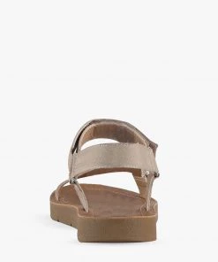 Naughty Monkey Zille