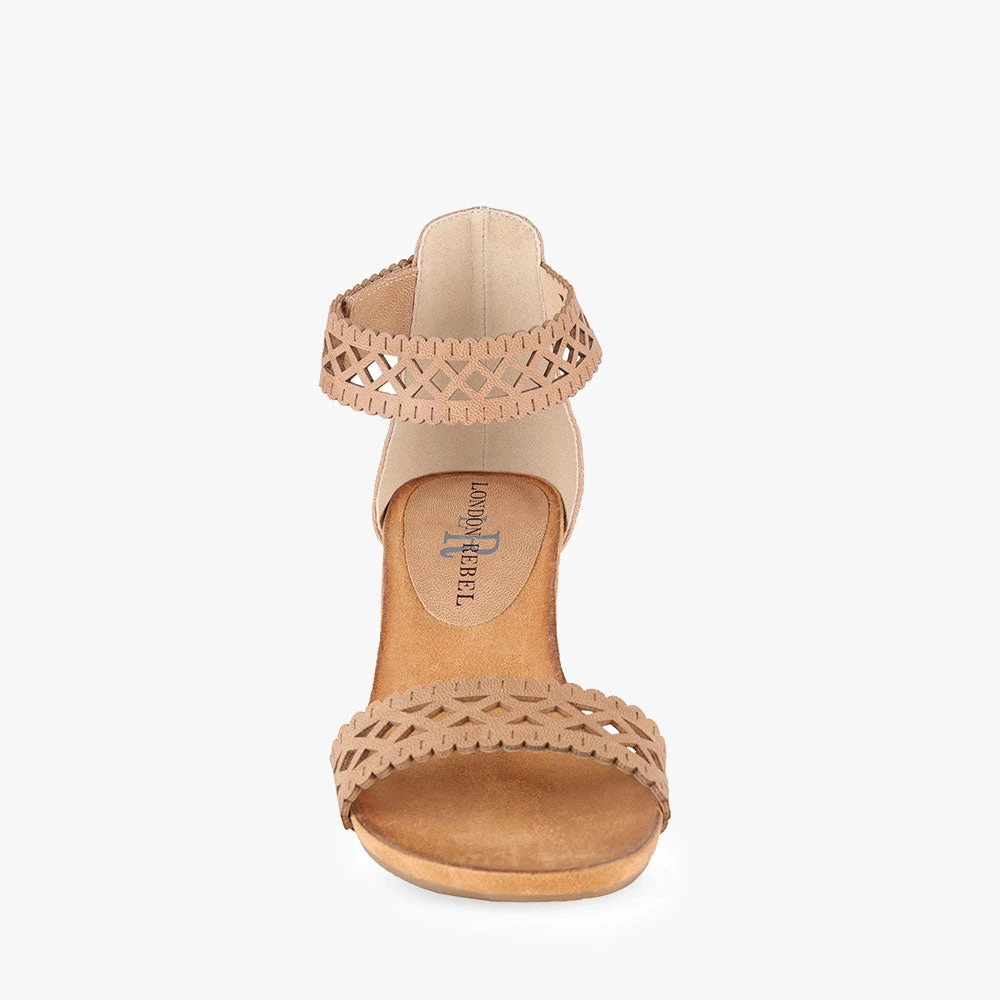 London Rebel Begonia 7 London Rebel Begonia