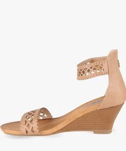 London Rebel Begonia 10 London Rebel Begonia