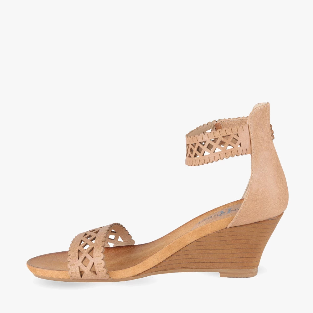 London Rebel Begonia 6 London Rebel Begonia