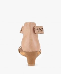 London Rebel Begonia 9 London Rebel Begonia